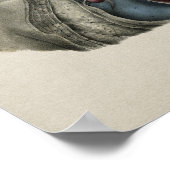 Human Heart Chest Anatomy Print (Hoek)