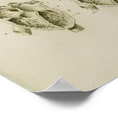 Human Heart en Lungs  Anatomy Print (Hoek)