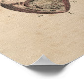 Human Heart Lungs Anatomy 1841 Print (Hoek)