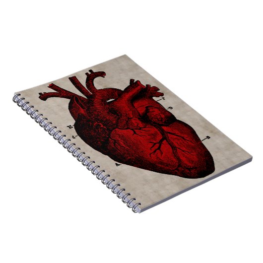 Human Heart Notebook Notitieboek (Rechterzijde)