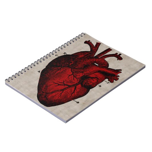 Human Heart Notebook Notitieboek (Linkerzijde)