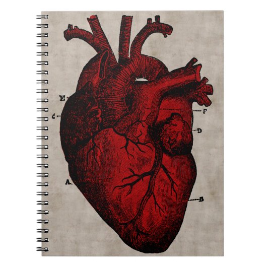 Human Heart Notebook Notitieboek (Voorkant)