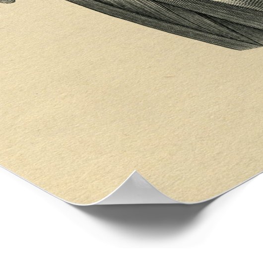 Human Hip Anatomy 1902 Vintage Print (Hoek)