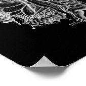 Human Internal Anatomy in Black and White Print (Hoek)