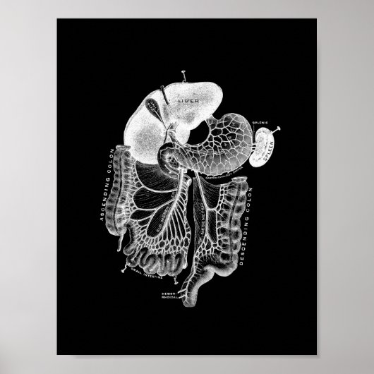 Human Internal Anatomy in Black and White Print (Voorkant)