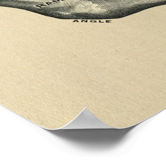 Human Jaw Anatomy 1902 Print (Hoek)