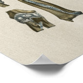 Human Joint Anatomy  Print (Hoek)