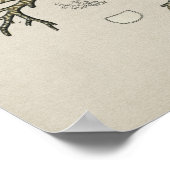 Human Lung Trachea Anatomy  Print (Hoek)