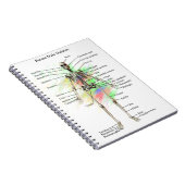 Human Male Skeleton notebook Notitieboek (Rechterzijde)