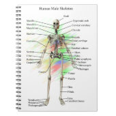 Human Male Skeleton notebook Notitieboek (Voorkant)