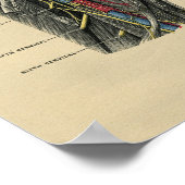 Human Neck Anatomy 1902  Print (Hoek)