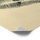 Human Neck Anatomy 1902  Print (Hoek)