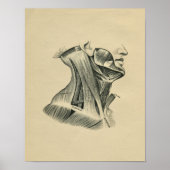 Human Neck Anatomy 1902  Print (Voorkant)