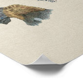 Human Niney Anatomy Print (Hoek)