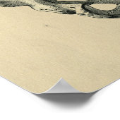 Human Pelvis Anatomy 1902  Print (Hoek)