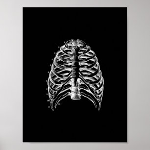 Human Ribcage Anatomy in Black and White Print