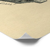 Human Sacrum Anatomy 1902  print (Hoek)