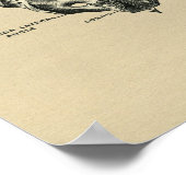 Human Sacrum Anatomy 1902  print (Hoek)