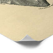 Human Scapula Anatomy 1902  Print (Hoek)