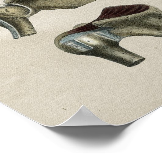 Human Shoulder Anatomy  Print (Hoek)