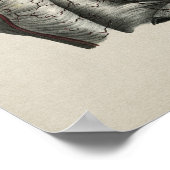 Human Shoulder Anatomy Print (Hoek)