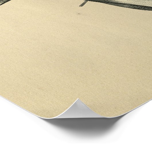 Human Shoulder Arm Anatomy 1902  Print (Hoek)