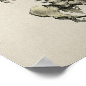 Human Skeletal Anatomee  Print (Hoek)