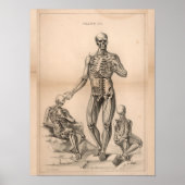Human Skeleton  Anatomy Art Print 1827 (Voorkant)
