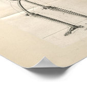 Human Skeleton  Anatomy Print (Hoek)