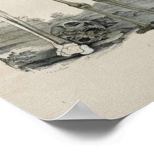 Human Skeleton Anatomy  Print (Hoek)