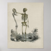 Human Skeleton Anatomy  Print (Voorkant)