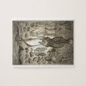 Human Skeleton ca 1741 Legpuzzel (Horizontaal)