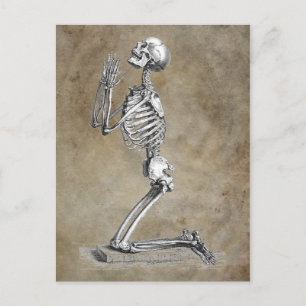 Human Skeleton Kneeling in Prayer Briefkaart