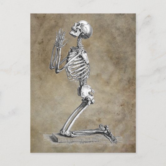 Human Skeleton Kneeling in Prayer Briefkaart (Voorkant)