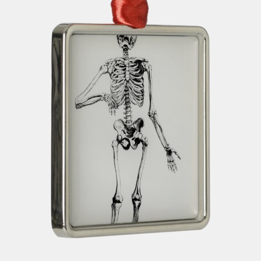 Human Skeleton Metalen Ornament (Rechts)