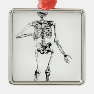 Human Skeleton Metalen Ornament