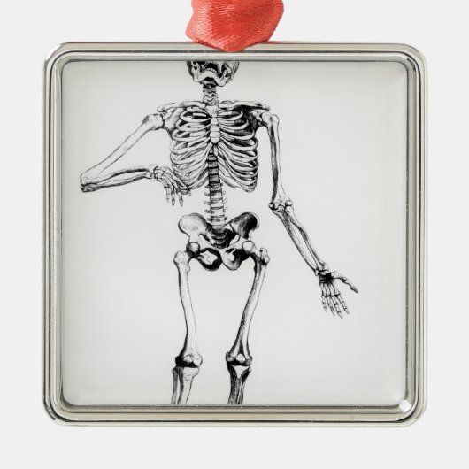 Human Skeleton Metalen Ornament (Voorkant)