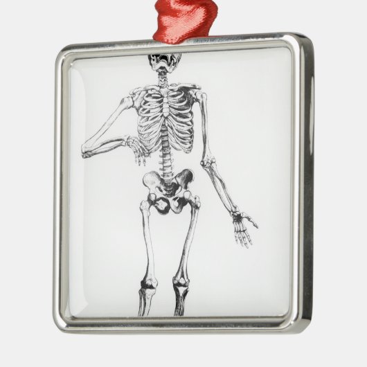 Human Skeleton Metalen Ornament (Links)