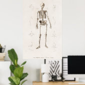 Human Skeleton Poster (Thuiskantoor)