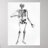 Human Skeleton Poster (Voorkant)