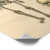 Human Skeleton Skull Spine Anatomy 1841 Afdruk Poster (Hoek)