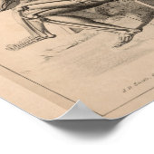 Human Skeletons  Anatomy Art Print 1827 (Hoek)