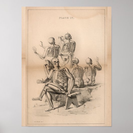 Human Skeletons  Anatomy Art Print 1827 (Voorkant)