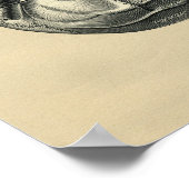 Human Skull Anatomy 1902  Print (Hoek)