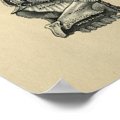 Human Skull Anatomy 1902  Print (Hoek)