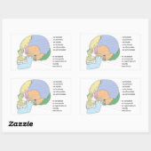 Human Skull Bone Name Chart Rechthoekige Sticker (Vel)