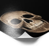 Human Skull Halloween X-Ray Skeleton Foto Afdruk (Hoek)