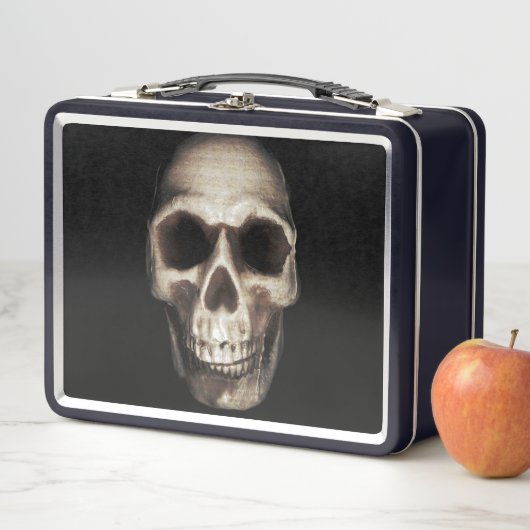 Human Skull Weathered on Black (In situ)