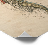 Human Spinal Nerves Anatomy 1841 Print (Hoek)