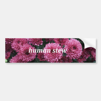 Human Stew Bumpersticker